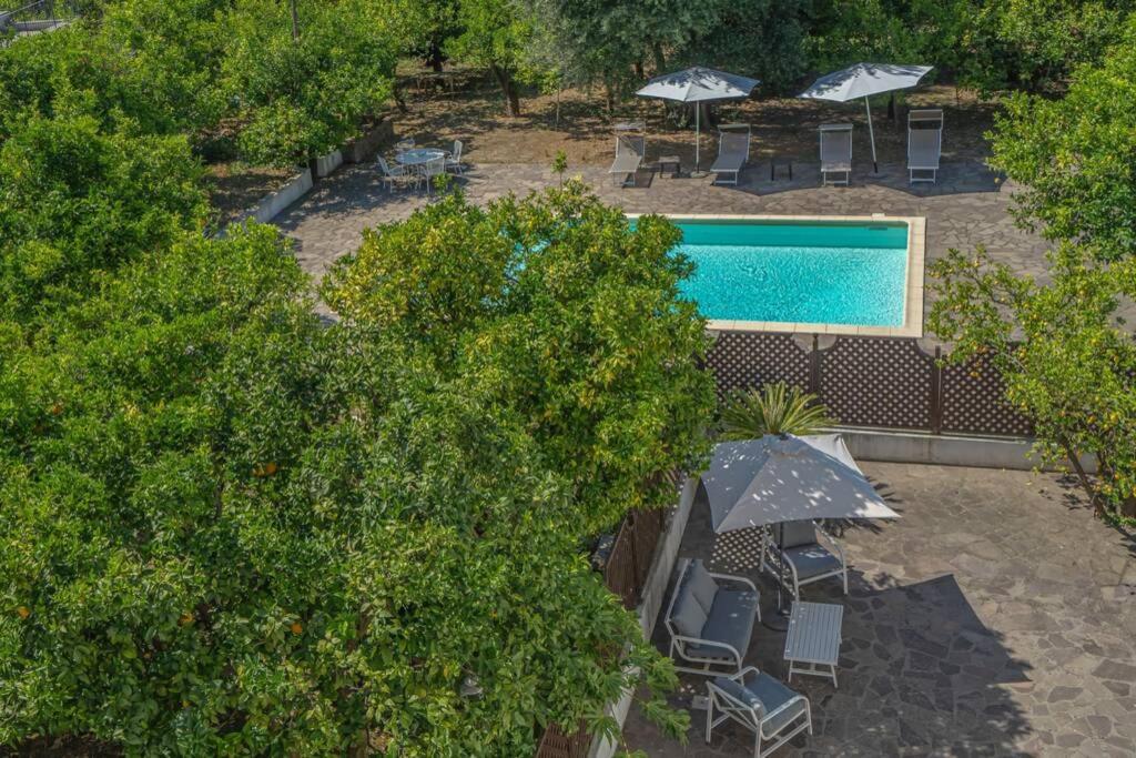 Casa Gege', For Up To 5 Guests, Shared Pool, Sorrento Center Apartment Bagian luar foto